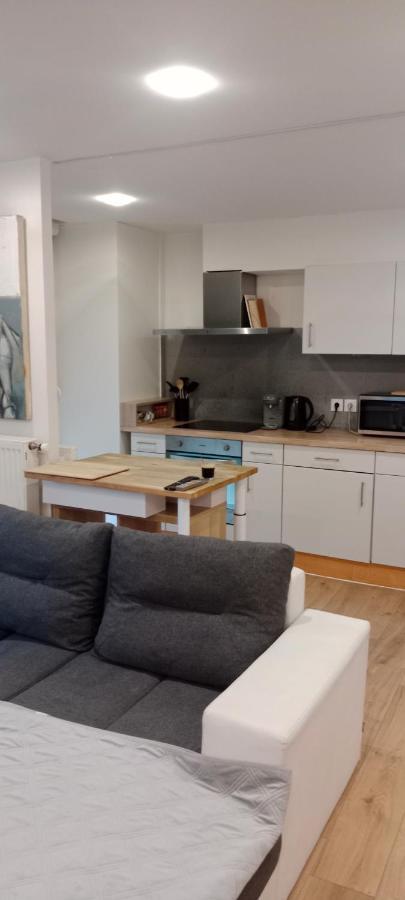 Tres Bel Appartement Rez De Jardin Appart De 53M2. Pfastatt 외부 사진